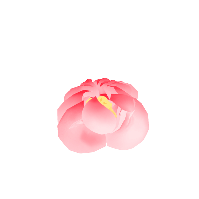 淡粉色带莲蓬独朵荷花预览.gif 图片