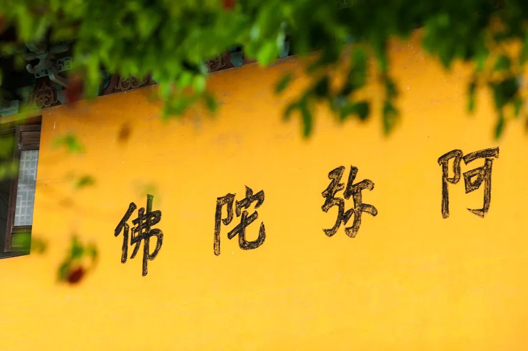 摄图网_500922931_佛教建筑(非企业商用).jpg 图片