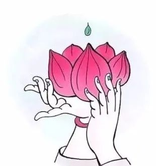 感恩红色图片节分割线 图片