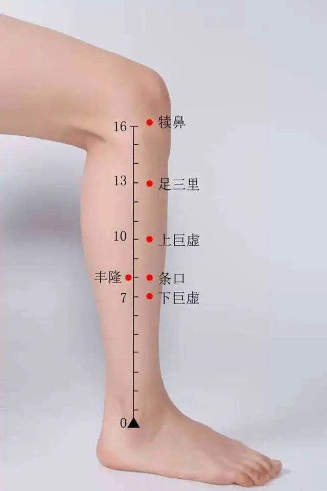 点击查看图片来源 图片