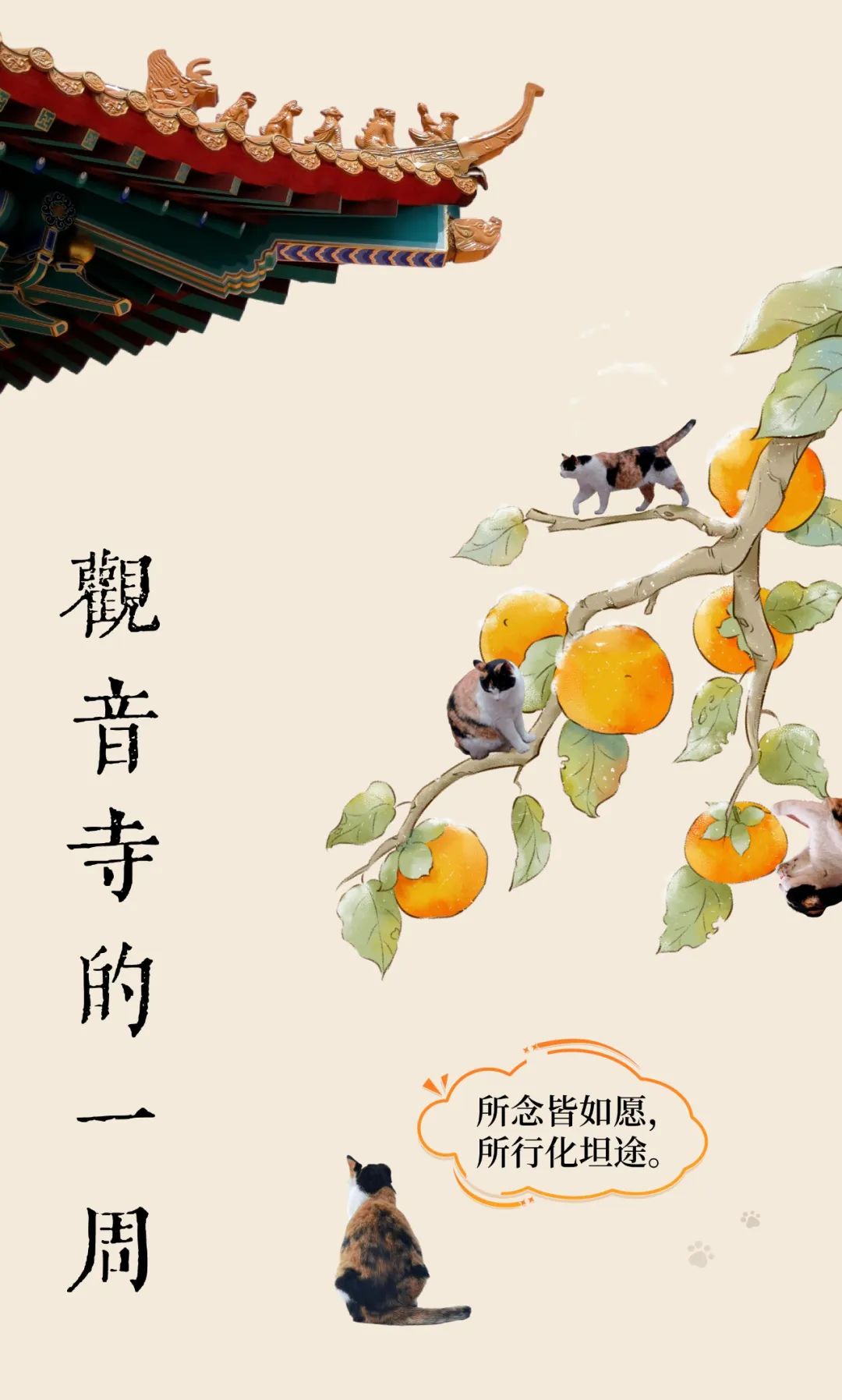 副本_黄色手绘风霜降教育借势主题海报__2023-10-15+13_47_23.png 图片