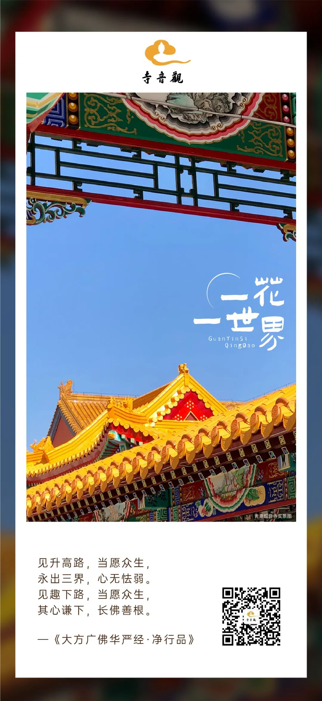 一花一世界丨见升高路.jpg