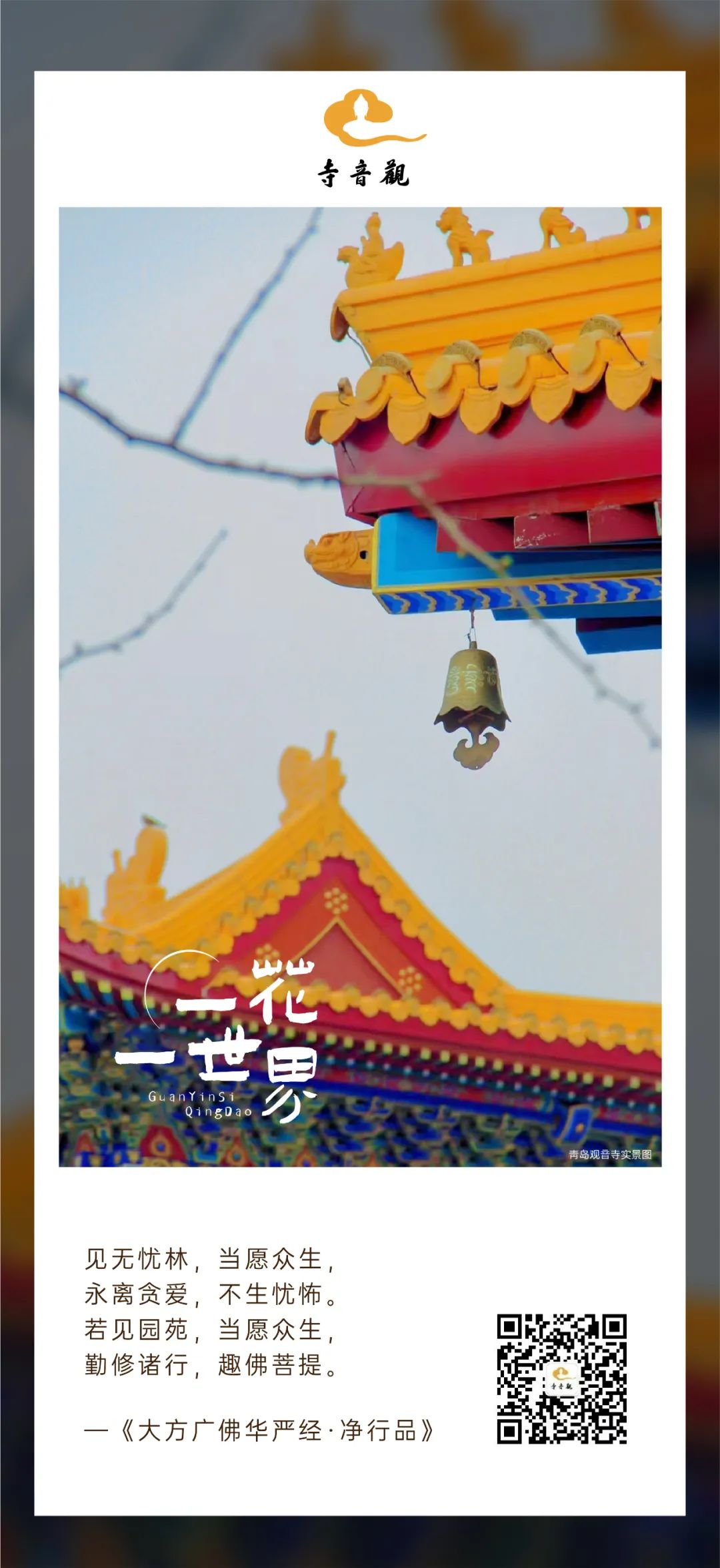一花一世界丨见无忧林.jpg