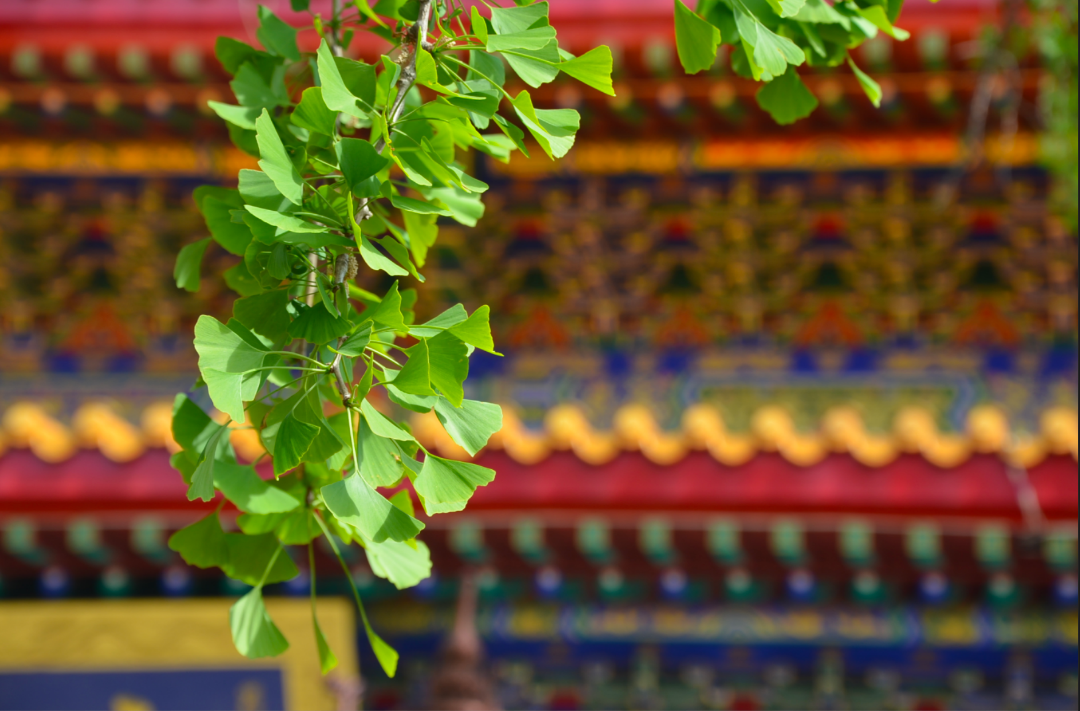 微信图片_20230524140007.png 图片