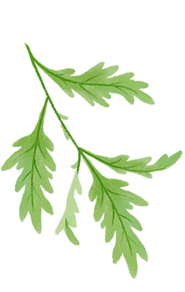 默认标题__2023-06-20+14_02_28.png 图片