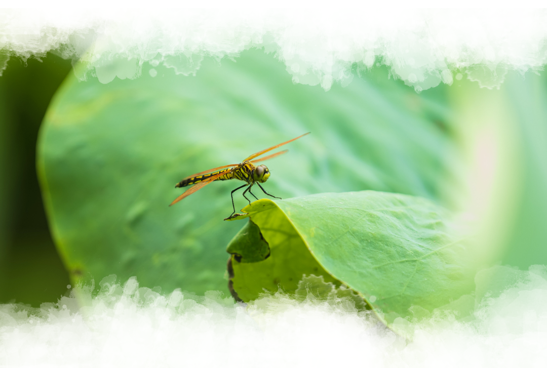 副本_未命名__2023-07-29+18_59_26.png 图片