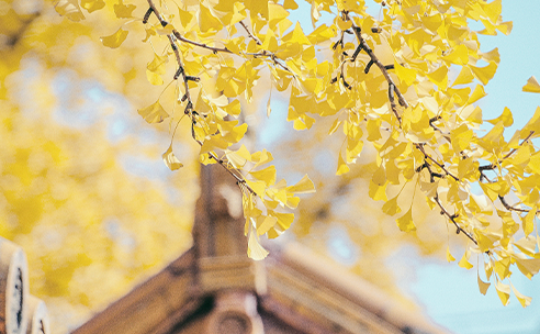 139856eb5ae04732493b93d50608e52d.png 图片