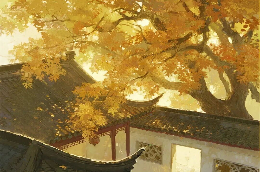 微信图片_20250919151949_176_95.jpg